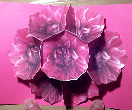 Zeven bloemen pop-up kaart